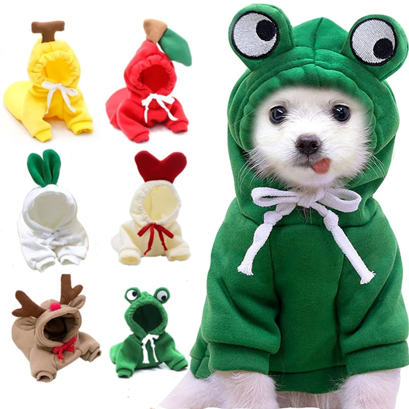 Cute Fruit Dog Clothes Outfit