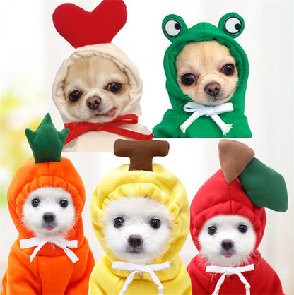 Cute Fruit Dog Clothes Outfit