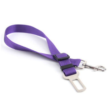 Fixed Strap Polyester Dog Strap Dog Leash