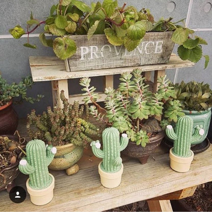 Cactus potted night light